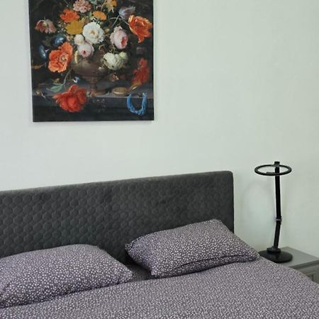 Casa Grande Apartment Fagaras Bagian luar foto